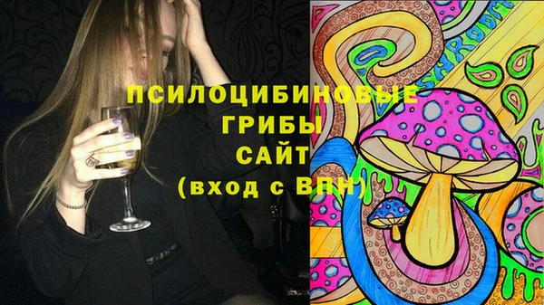бошки Балахна