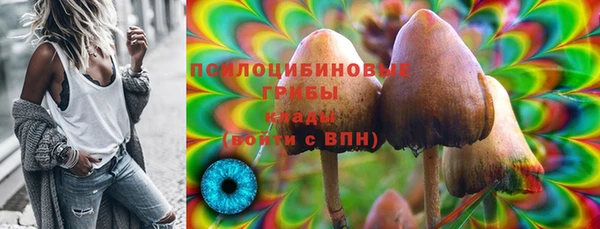 бошки Балахна