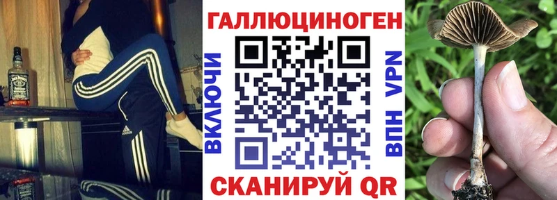 наркотики  KRAKEN как зайти  Галлюциногенные грибы Magic Shrooms  Теберда 