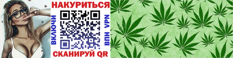 Конопля тримм  Теберда 